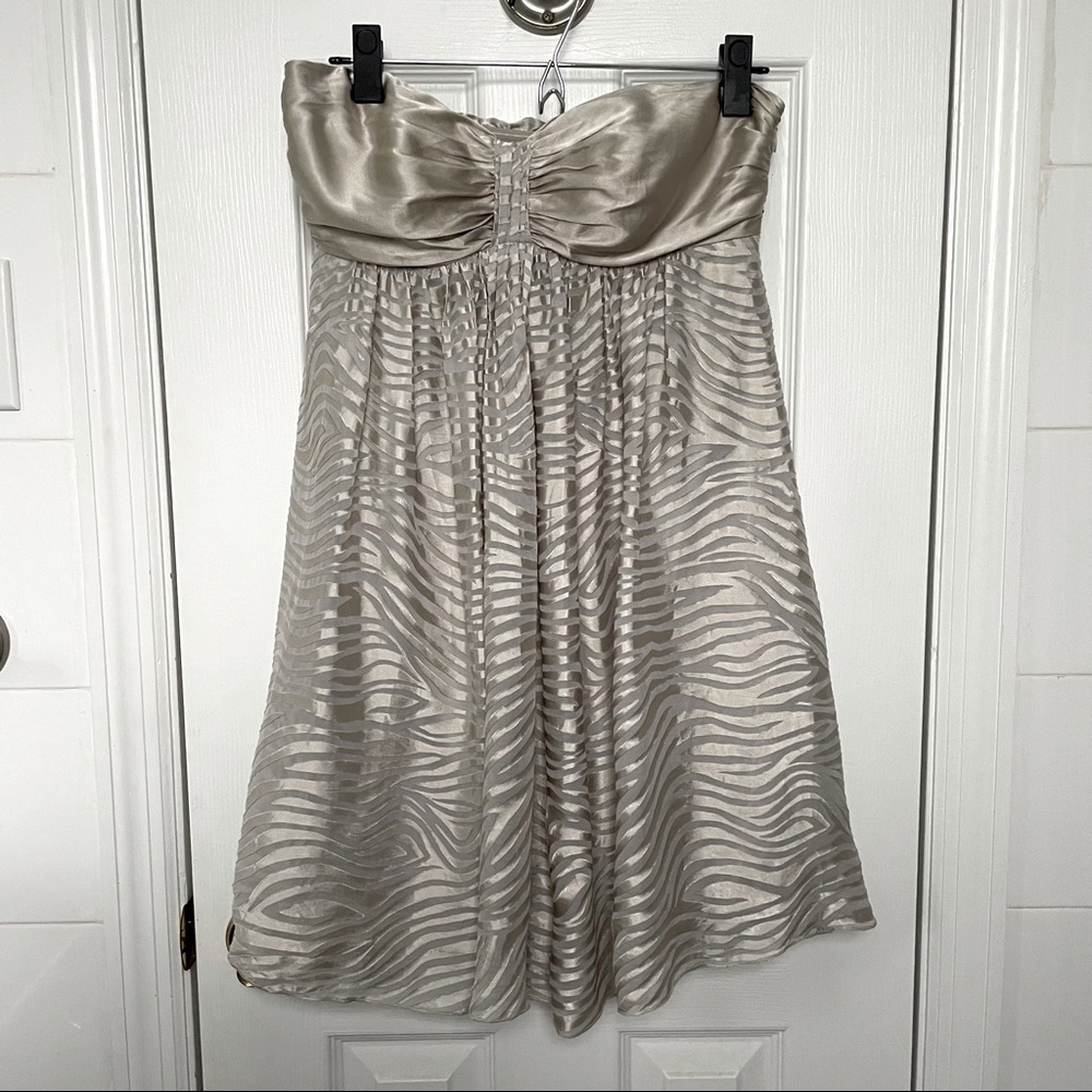 Express: Valentines or Holiday dress!